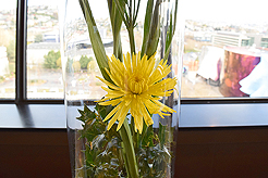 SEATTLE SPACE NEEDLE